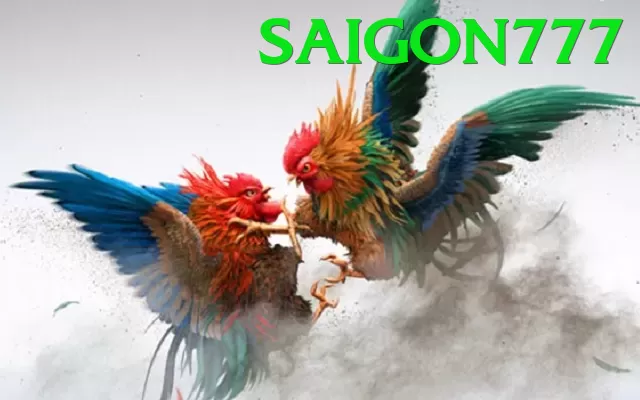 Đá Gà Trực Tiếp - saigon777 - Link tải
